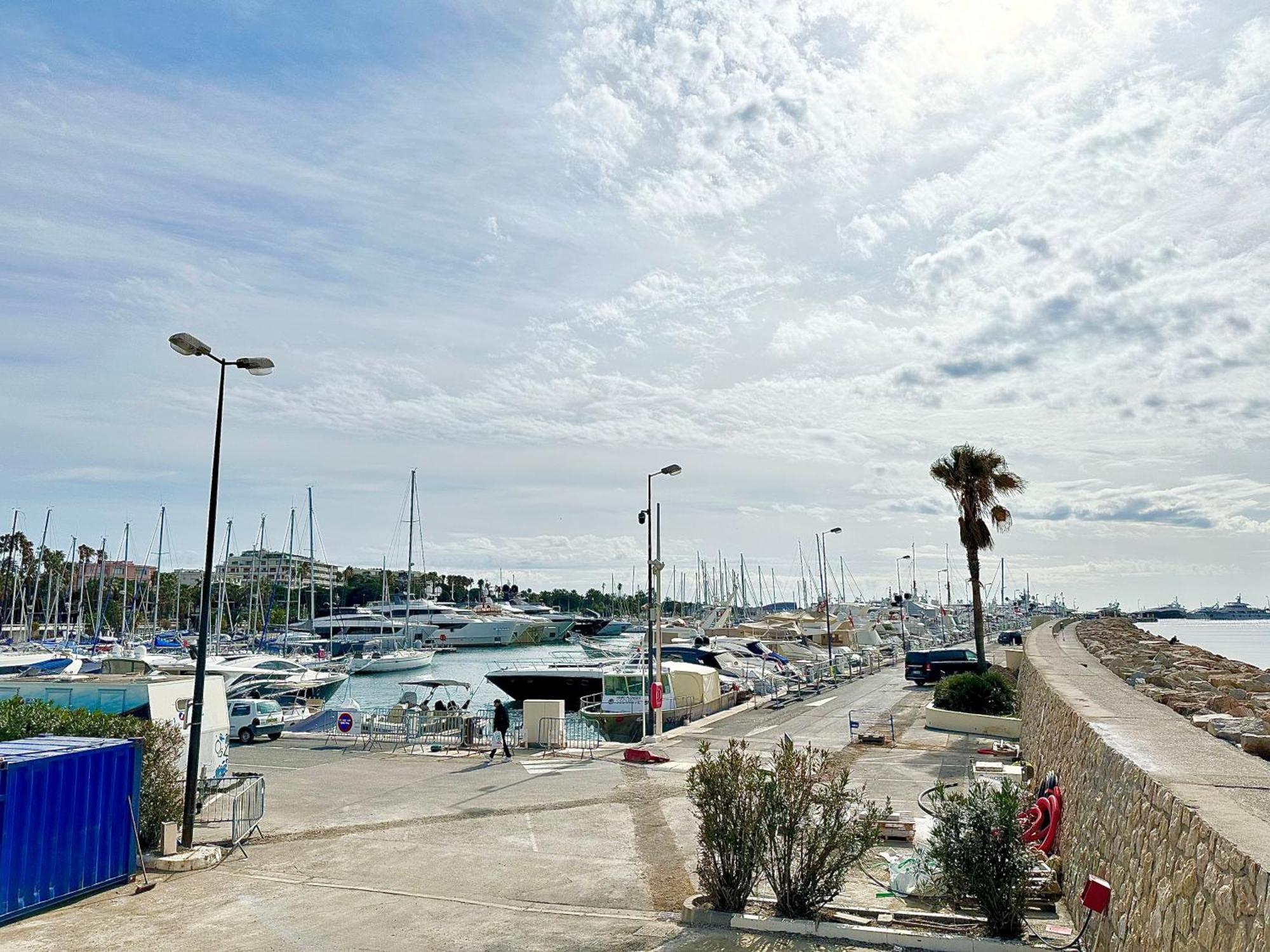 3p Refurbished Palm 200 M From The Beaches Appartement Cannes
